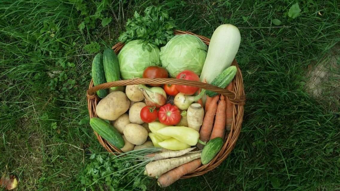Готель Eco Familia Pojoga Екстер'єр фото