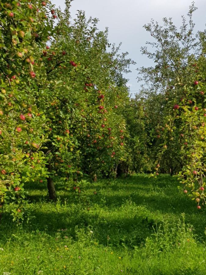 Готель Eco Familia Pojoga Екстер'єр фото