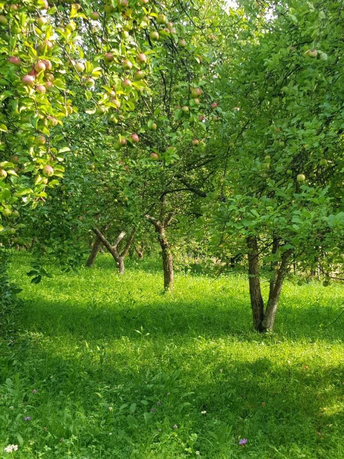 Готель Eco Familia Pojoga Екстер'єр фото